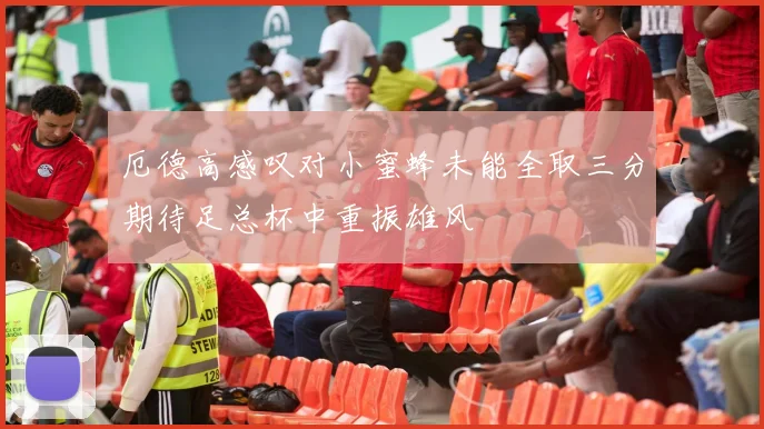厄德高感叹对小蜜蜂未能全取三分期待足总杯中重振雄风