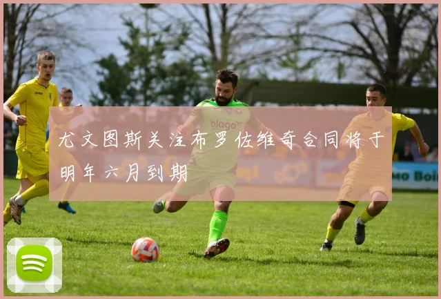 尤文图斯关注布罗佐维奇合同将于明年六月到期